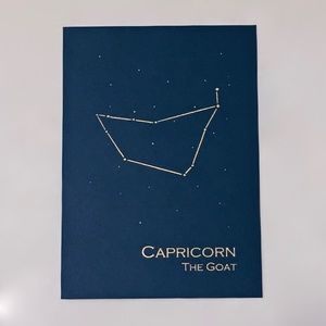 Capricorn Constellation Zodiac Wall Art